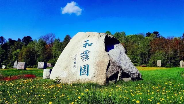 水流会绕开石头住前流淌发现这种现象原因是什么？游戏画面